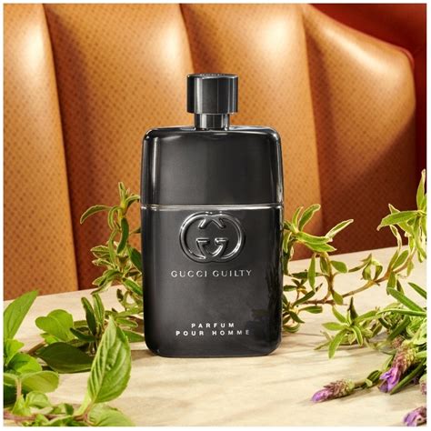 gucci by gucci hombre fragrantica|gucci guilty pour homme price.